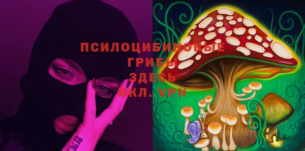 марки nbome Алексеевка