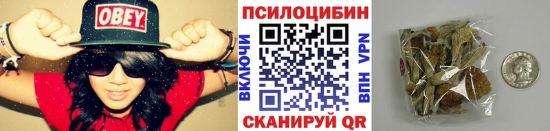 Галлюциногенные грибы GOLDEN TEACHER  KRAKEN сайт  Фёдоровский 